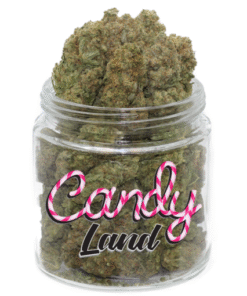 Candyland weed