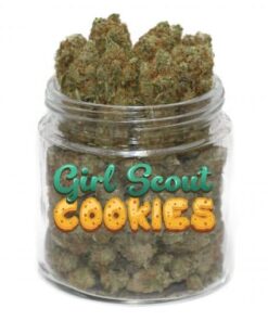 Girl Scout Cookies Weed