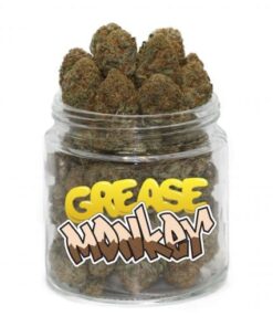 Grease Monkey Weed