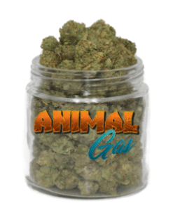 Animal Gas weed