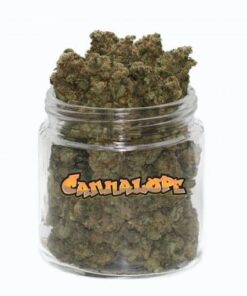 Cannalope Haze weed