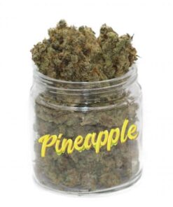 Pineapple Express Weed