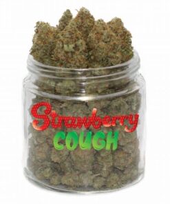Strawberry Cough Weed