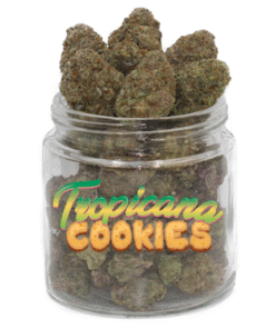 Tropicana Cookies Weed